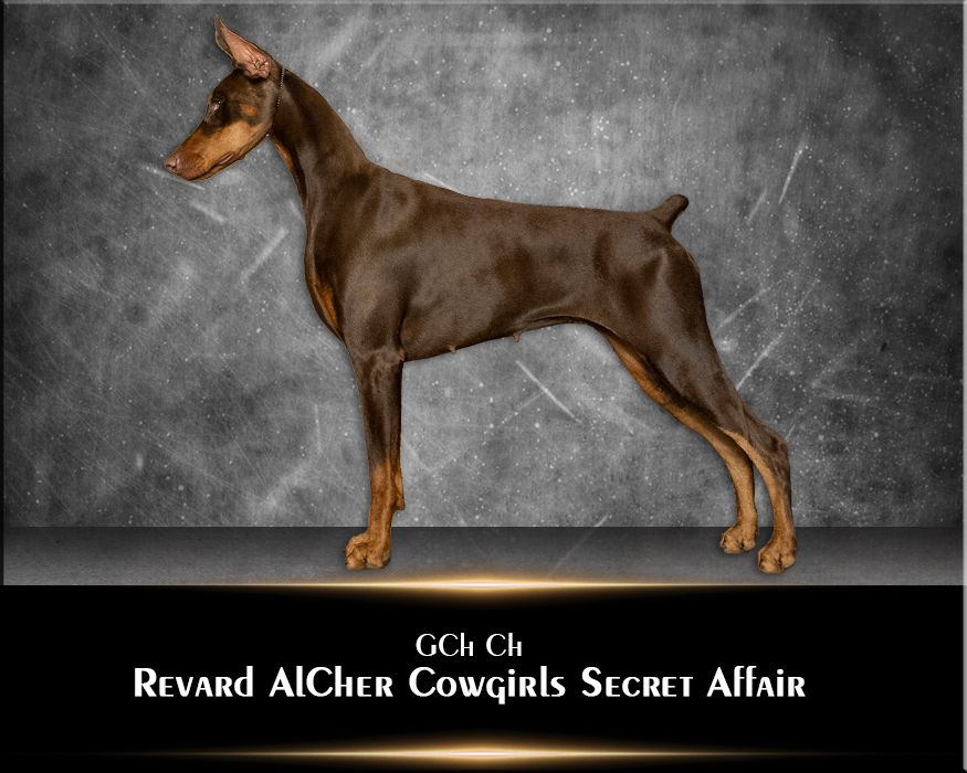 Revard AlCher Cowgirls Secret Affair