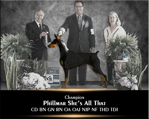 Phillmar She's All That